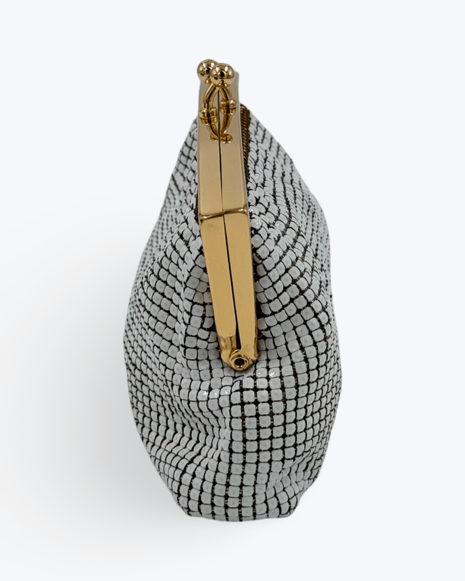 Glo Mesh Purse