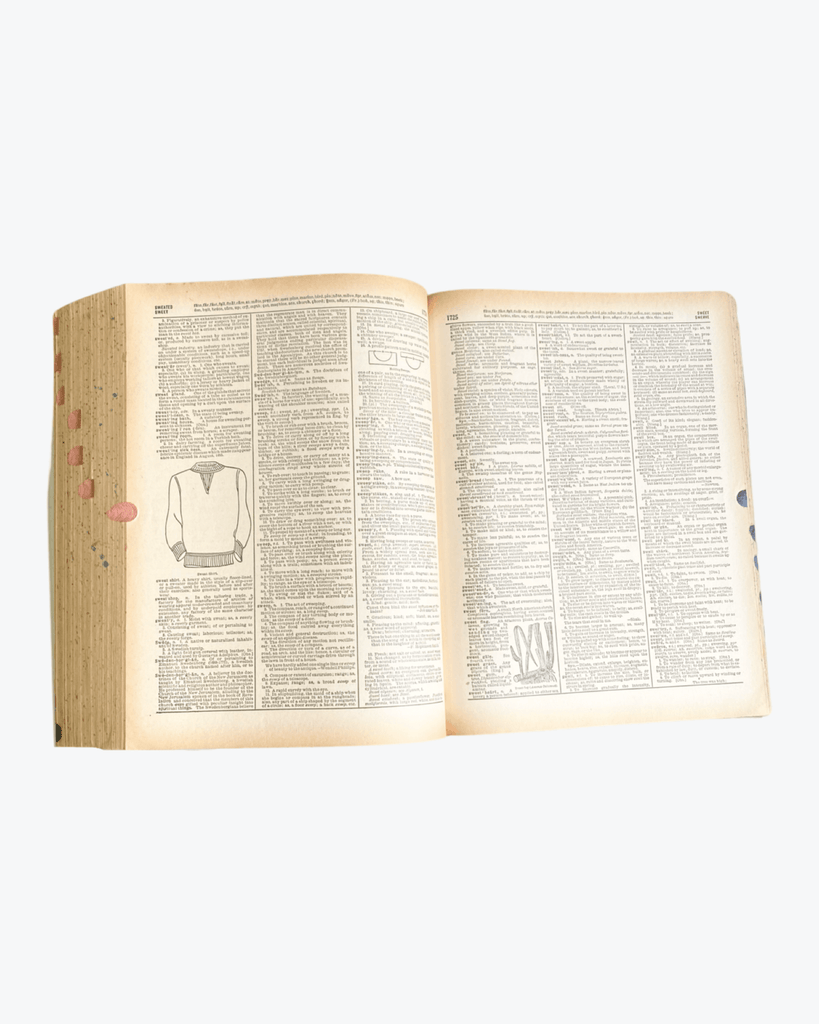 Websters | Twentieth Century Dictionary | Unabridged