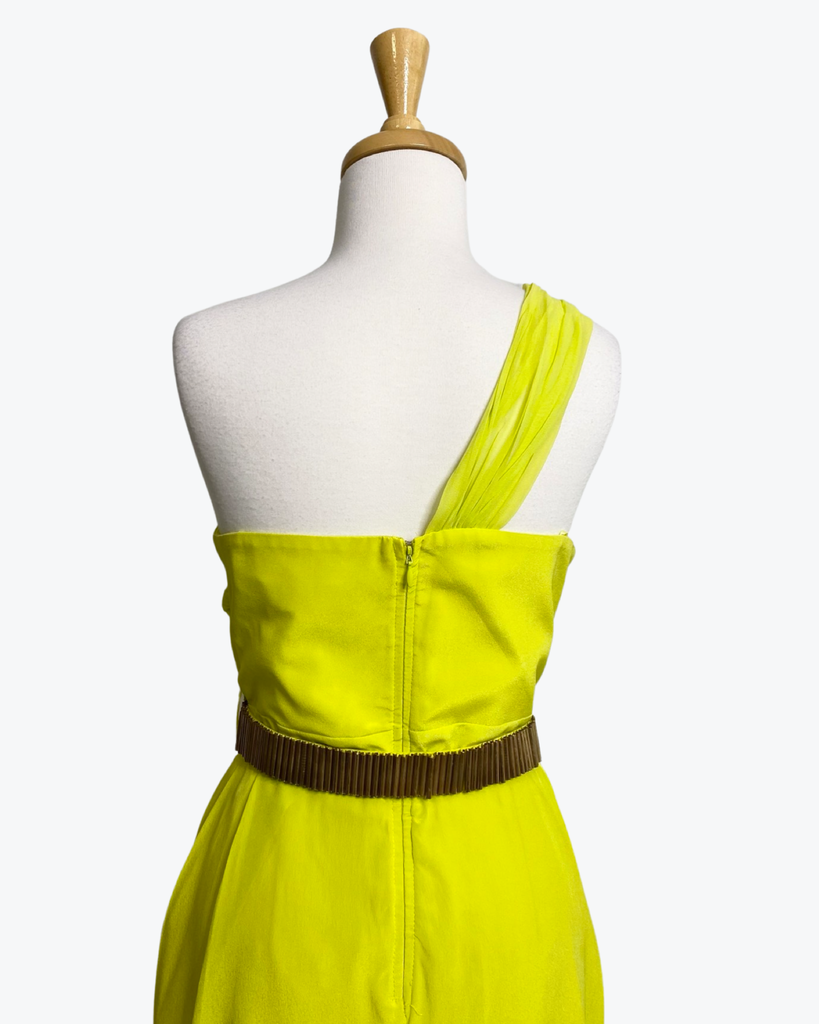 Truese | Instance 100% Silk Dress | Size M/12 | BNWT