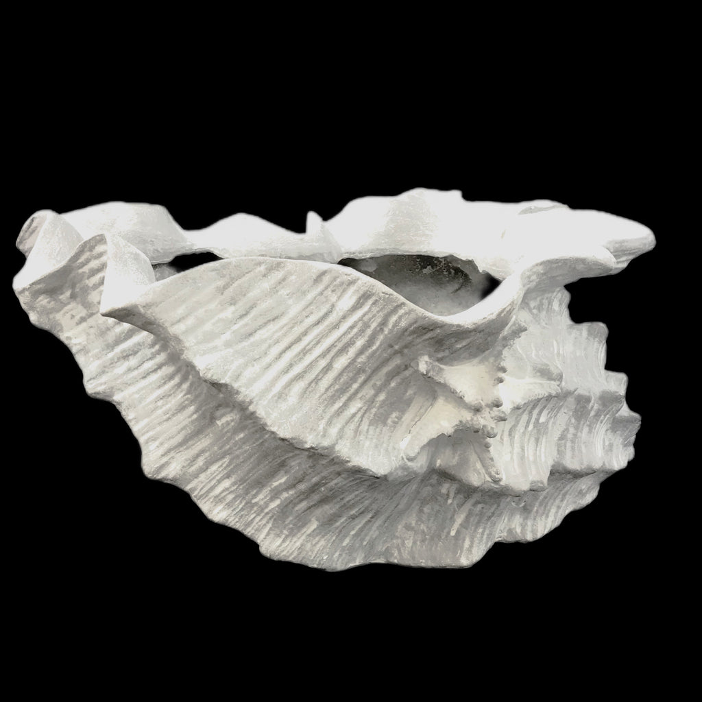 Shell | Poly Resin | White | Large