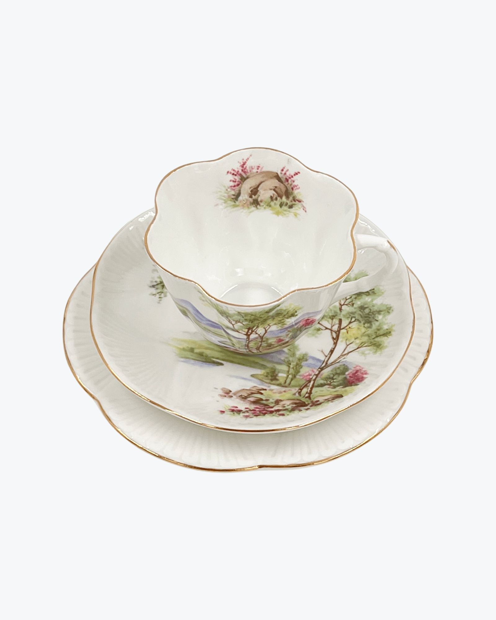 Shelley England Tea Cup Trio