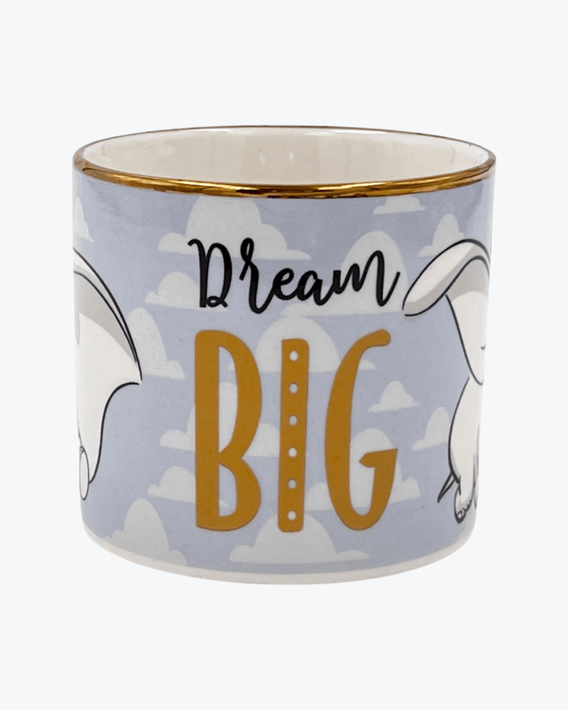Disney Dream Big Mug.